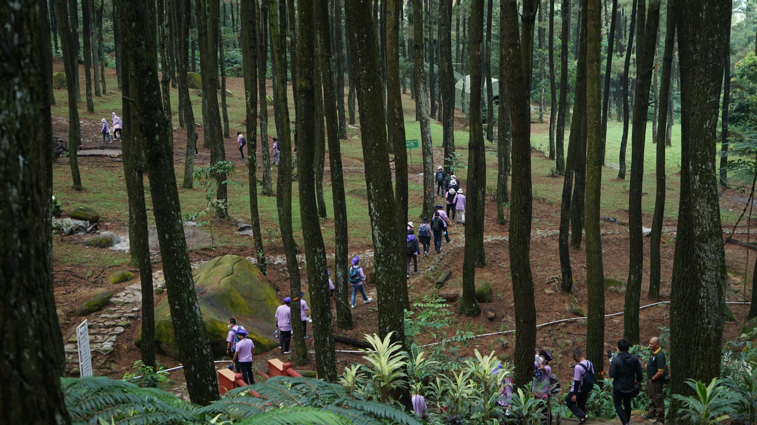 trekking copy