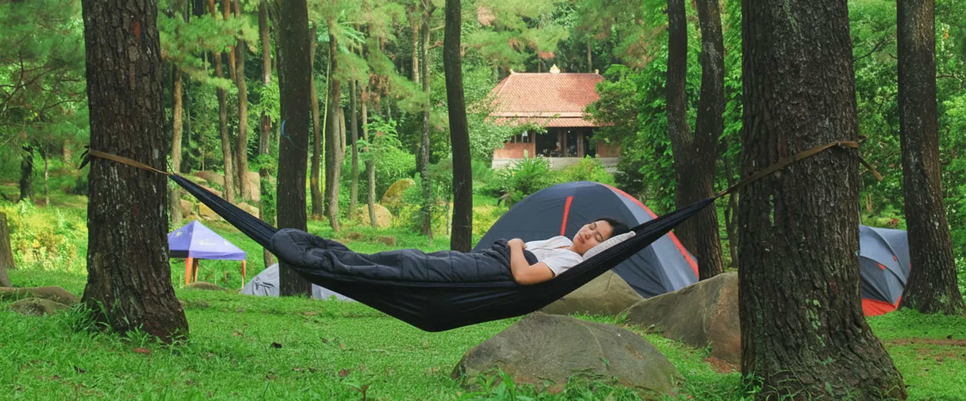 Bersantai di hammock di antara pepohonan pinus