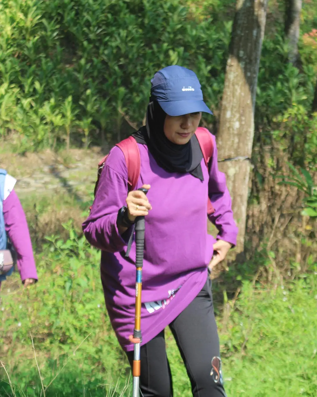 Trekking menyusuri jalur hutan pinus